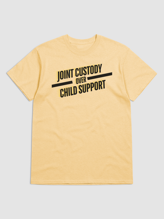 Joint Custody (coparenting)